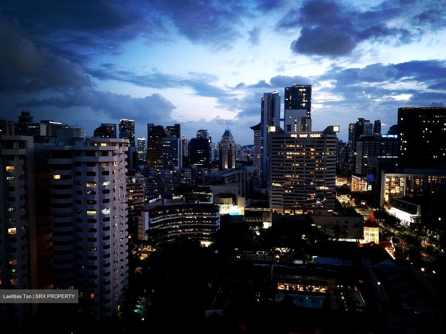 The Scotts Tower (D9), Condominium #503939961